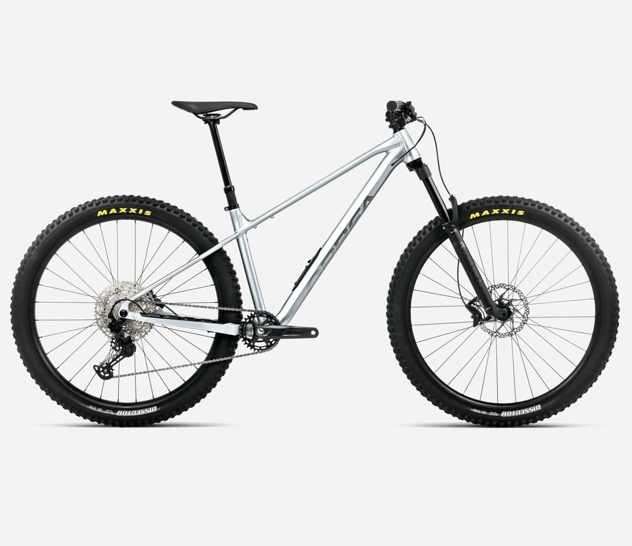 Orbea Laufey H10 2026 - Silver / Titanium
